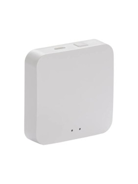SMART-HUB ONI ITEQ WiFi+ZigBee, USB, белый IT-HWZ-K01