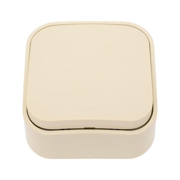 Выключатель Legrand кнопочный одноклавишный Quteo IP20 6А 250В винтовые зажимы накладной монтаж слоновая кость 782235
