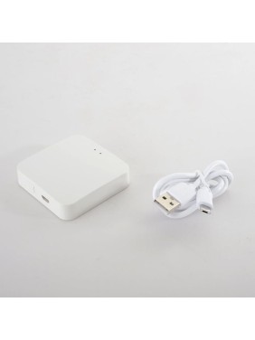 Модуль управления Crystal lux Space Smart Home CLT 0.203 12