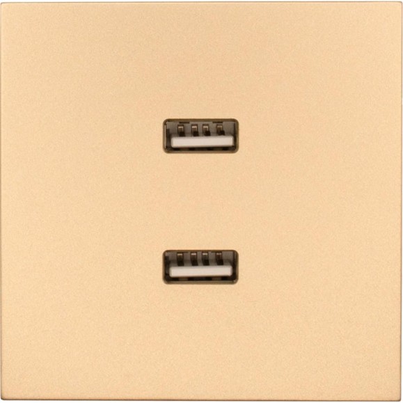 Розетка 2-ая USB разъем Lezard ZIMA золото 704-3688-192