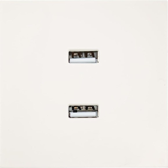 Розетка 2-ая USB разъем Lezard ZIMA слоновая кость 704-9088-192