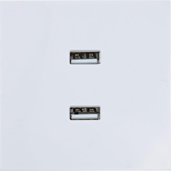 Розетка 2-ая USB разъем Lezard ZIMA белая 704-0288-192