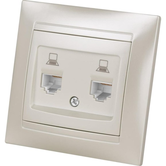 Розетка TDM ELECTRIC компьютерная двойная RJ45 перламутр Лама TDM SQ1815-0855