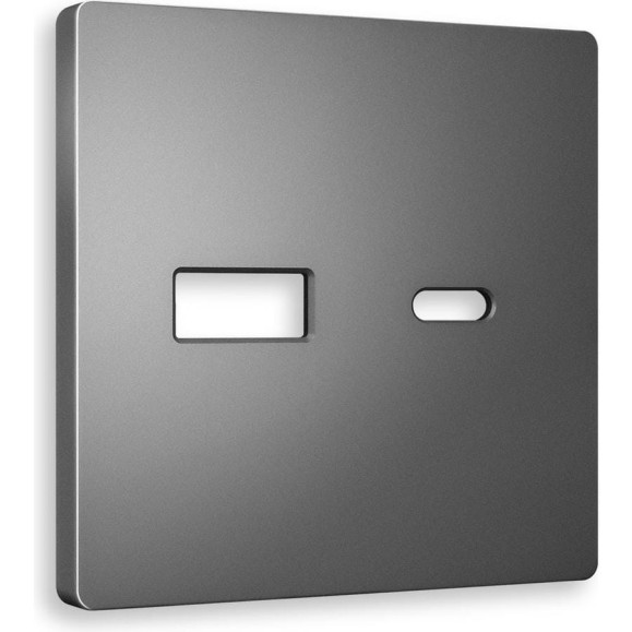 Лицевая панель Ambrella VOLT для розетки 2USB тип A+C ALFA AP6610