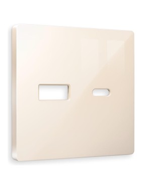 Лицевая панель Ambrella VOLT для розетки 2USB тип A+C ALFA AP3110
