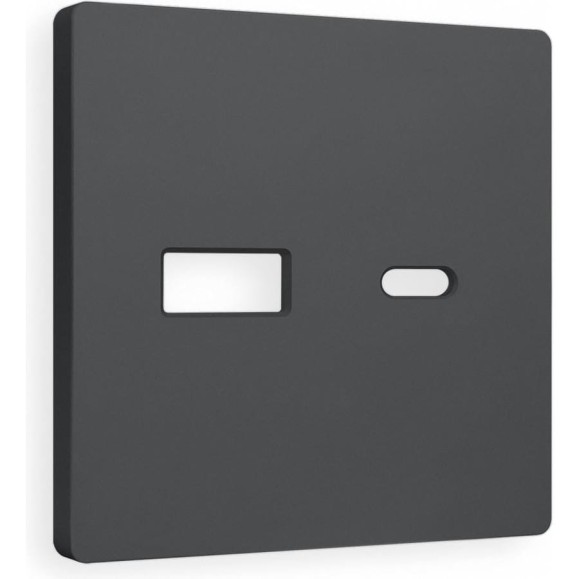 Лицевая панель Ambrella VOLT для розетки 2USB тип A+C ALFA AP9110