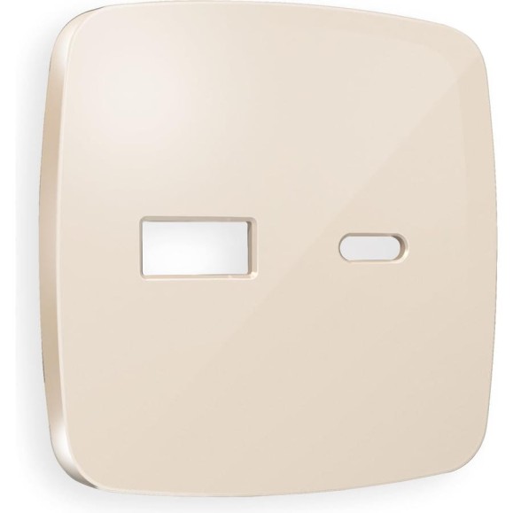 Лицевая панель Ambrella VOLT для розетки 2USB тип A+C OMEGA OP3110