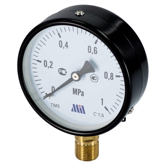 Манометр вертикальный Millennium 1/2" (100/10 бар) MVML1210100