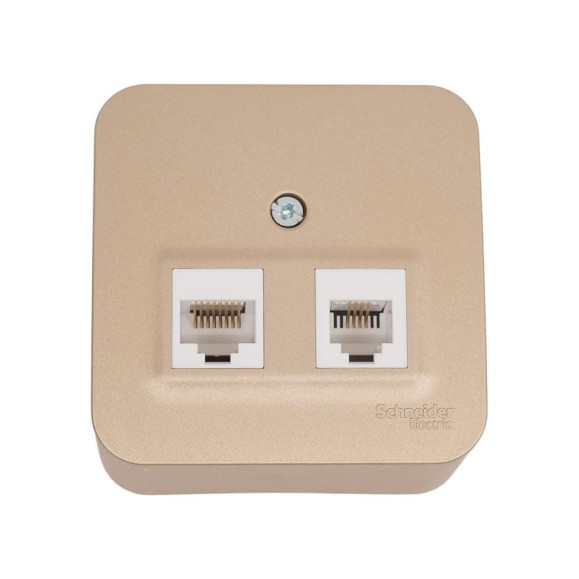 Двойная розетка компьютерная+ТВ Systeme Electric Blanca наружная Титан, RJ45+RJ11, кат.5E SE BLNIA045114