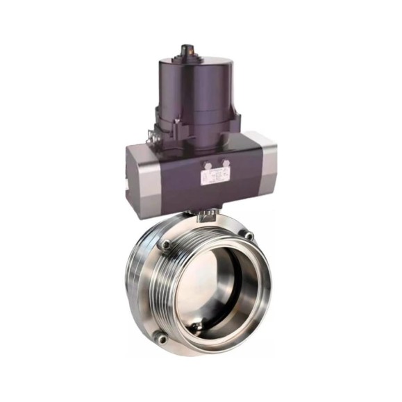 Затвор дисковый DN.ru 304-304-EPDM-2W-T-H Ду25 Ру10 электропривод 220В D050-81299