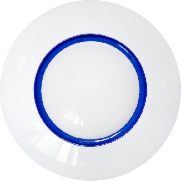 Беспроводной потолочный PIR-датчик движения Viguard ViGUARD PLAFOND F