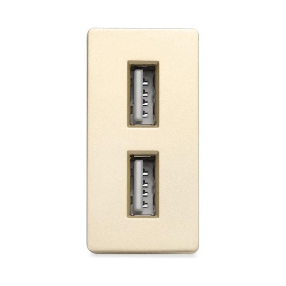 Розетка золотая, 1/2, USB A + USB A разъем, 2,4 А, 5 В, модуль, Vell 1379005