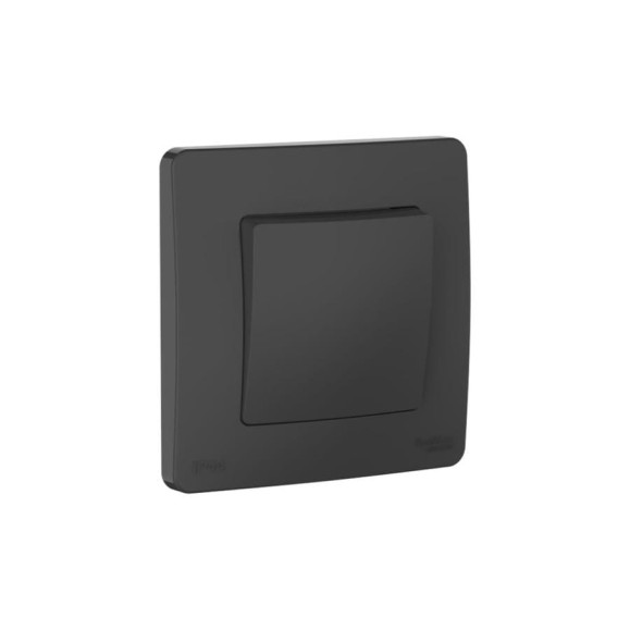 Переключатель Systeme Electric Blanca скрытая установка антрацит 1 клавишный IP44 (сх.6), 10A, 250В BLNVS410606 10 шт 4690201022404