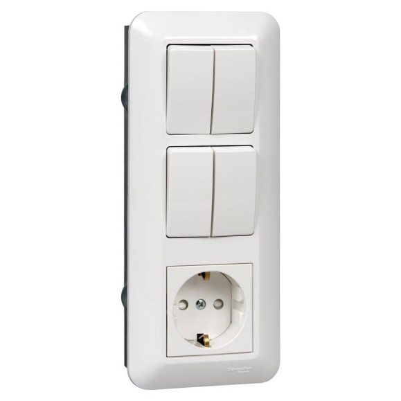Блок Systeme Electric BLANCA С/У розетка с заземлением+ выключатель 2-клавишный+ выключатель 2-клавишный, белый, розн.уп.Рос BK2VR-008B-BI 5 шт 13606485439492