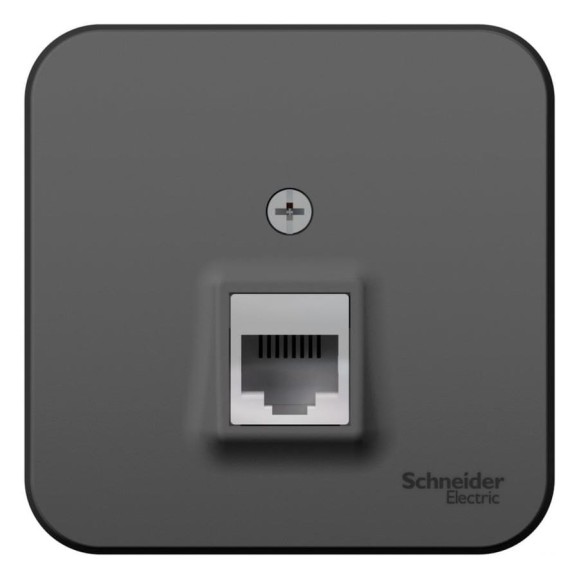 Розетка компьютерная Systeme Electric ( Schneider Electric) Blanca наруж Антрацит, RJ45, кат.5E SE BLNIA045006 12 шт 13606481197273