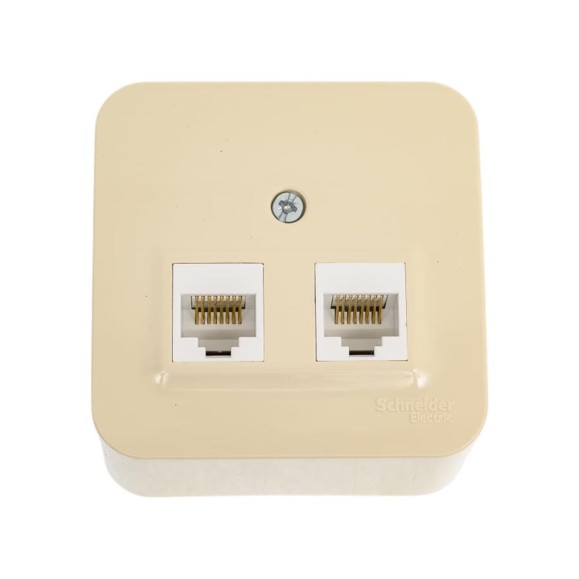 Розетка компьютерная Systeme Electric, 2-м ОП Blanca RJ45 кат.5E с изолир. пластиной беж. SE BLNIA045457 12 шт 13606489775824 Розетка компьютерная Systeme Electric, 2-м ОП Blanca RJ45 кат.5E с изолир. пластиной беж. SE BLNIA045457 12 шт 13606489775824