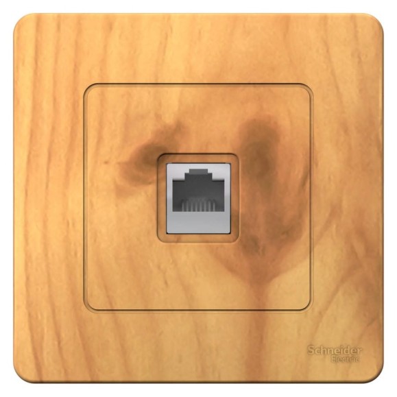 Розетка компьютерная Systeme Electric Blanca с/у ясень, rj45 BLNIS045005 10 шт 13606481195897 Розетка компьютерная Systeme Electric Blanca с/у ясень, rj45 BLNIS045005 10 шт 13606481195897