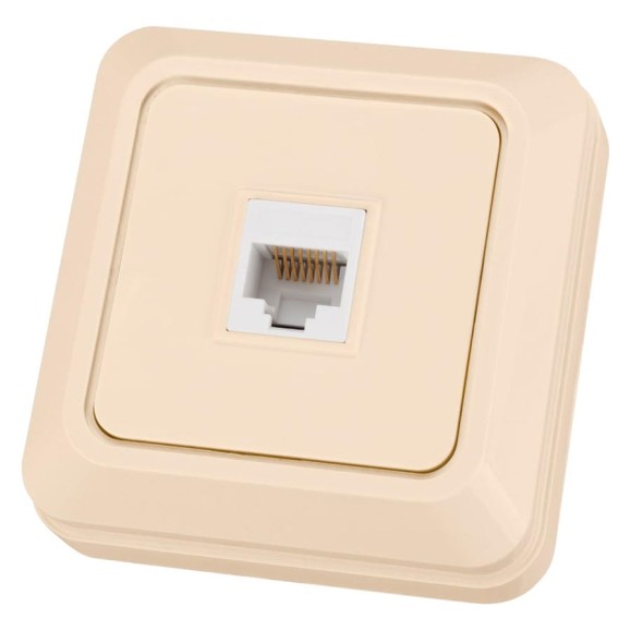 Розетка компьютерная TDM ELECTRIC (RJ-45) открытой установки IP20, сл. кость Ладога SQ1801-0117