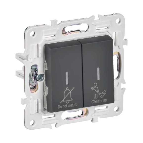 Выключатель 2-клавишный IEK BRITE с индикацией, отельный, 10А, графит SK-V16G SK-V20-2-10-K53