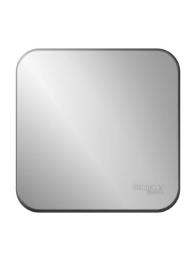 1-клавишный переключатель Systeme Electric Blanca наружный Алюминий 10А, 250В SE BLNVA106013