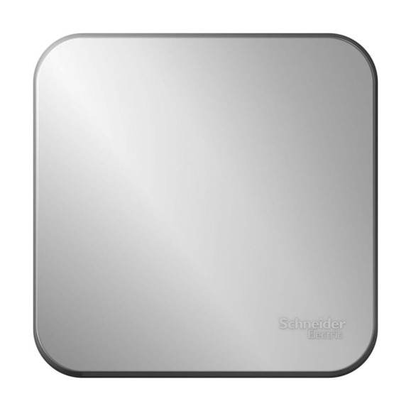 1-клавишный переключатель Systeme Electric Blanca наружный Алюминий 10А, 250В SE BLNVA106013