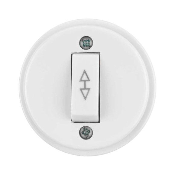 Переключатель на 2 направления 1-клавишный TDM ELECTRIC открытой установки IP20 10А белый "Ретро" SQ1806-0506