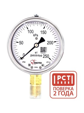 Манометр виброустойчивый Физтех ДМ8008-ВУф 0-250 кПа кт.1,0 d.100 IP54 G1/2 РШ, Силикон 4687205640284