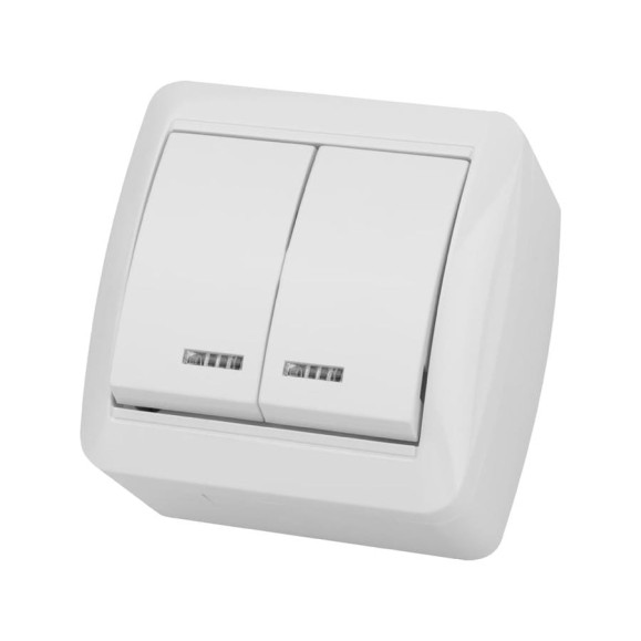 Выключатель с подсветкой накладной двухклавишный, белый IP44 TDM ELECTRIC 10А, серия "Селигер" SQ1818-0004