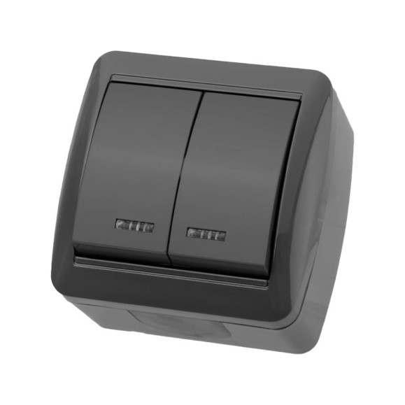Выключатель двухклавишный накладной с подсветкой, серый TDM ELECTRIC IP44 10А серия 