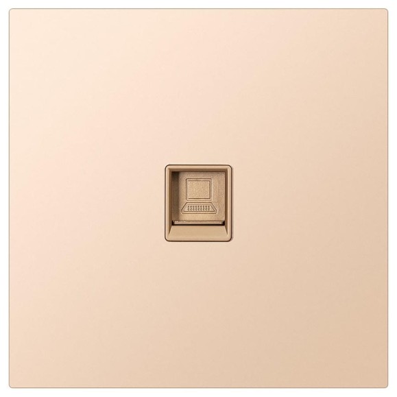 Розетка компьютерная SMARTBUY RJ-45 независимая 10А шампань акрил Альтаир SBE-i11ia-S1-RJ