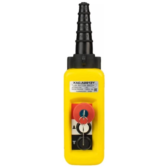 Пульт управления OCALIFT 2 кнопки, 2 скорости, стоп, ключ, IP55 A2913Y COPP-A2913Y