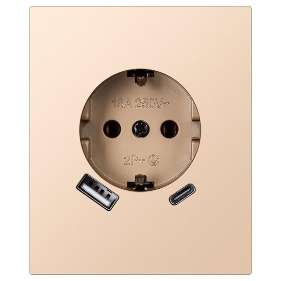 Розетка одноместная с заземлением Smartbuy USB+Type-C модульная 16А шампань акрил Альтаир SBE-m11ia-16-S1-USB