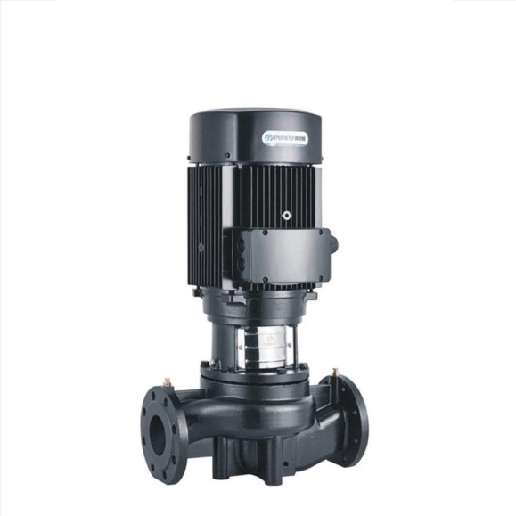 Насос Purity PTD150-25/4 (N) 100603945