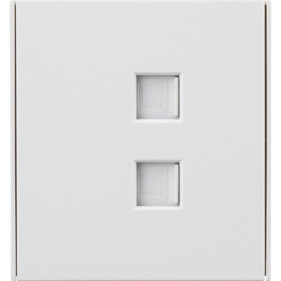 Розетка двойная компьютерная RJ45 KRANZ STRONG категория 6 с/у жемчуг KR-78-0725-4 Розетка двойная компьютерная RJ45 KRANZ STRONG категория 6 с/у жемчуг KR-78-0725-4