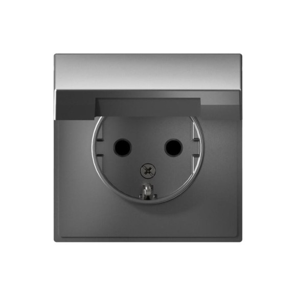 Розетка с заземлением со шторками c крышкой ArtGallery, 16А Systeme Electric механизм, Сталь GAL000946