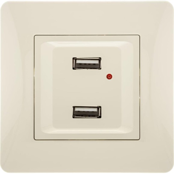 Розетка USB GUSI ELECTRIC Ugra двойная, СУ, бежевая С11USB2-003-СБ