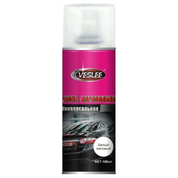 Аэрозольная краска Veslee 100ml цвет белый матовый VL-P2E WM