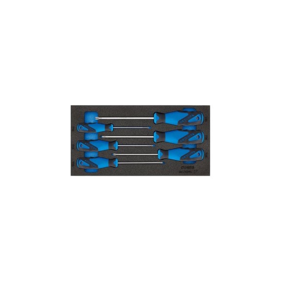 Набор инструментов в СТ-ложементе GEDORE 2309165
