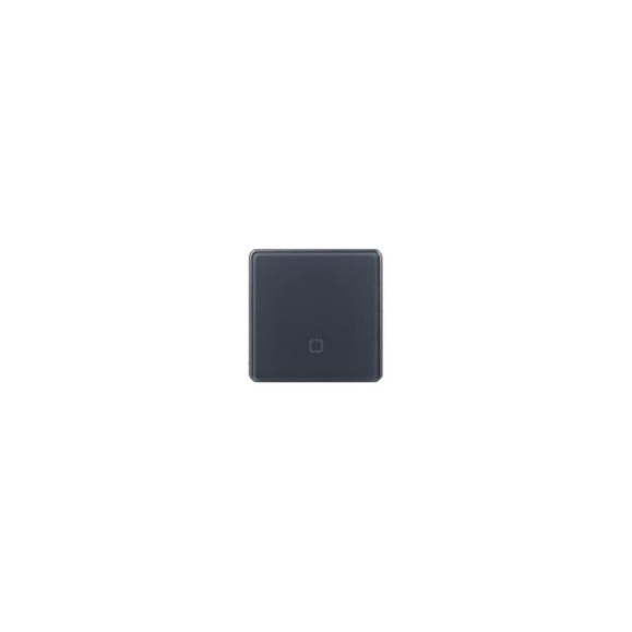 Радиовыключатель HiTE PRO SN-R1 Серый, закругленные углы HP-SN-R1-gray