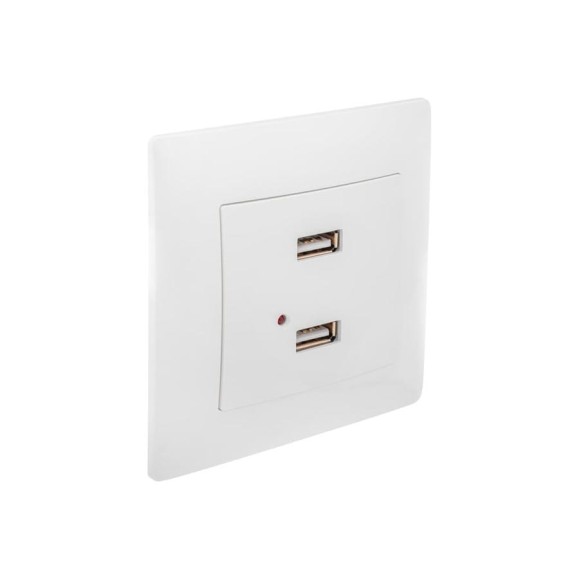 Розетка USB GUSI ELECTRIC Bravo двойная, СУ, белый С10USB2-001-СБ