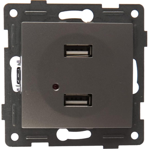 Розетка USB GUSI ELECTRIC Bravo двойная, СУ, серебро С10USB2-004