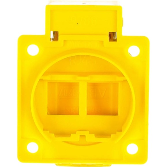 Встраиваемая информационная розетка ABL IP55 RJ45S23 Встраиваемая информационная розетка ABL IP55 RJ45S23