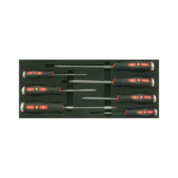 Отвертки (ложемент, Torx) Станкоимпорт BX005T