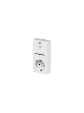 Умная розетка - гейтвей Redmond SkySocket RSP-102S-E