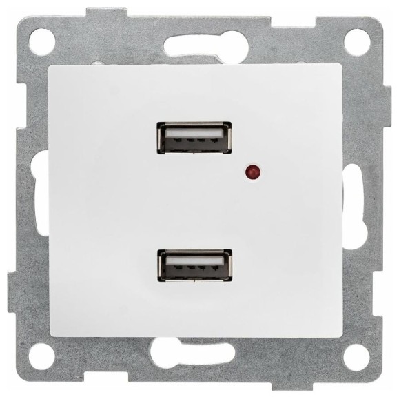 Розетка USB GUSI ELECTRIC Bravo двойная, СУ, белая С10USB2-001