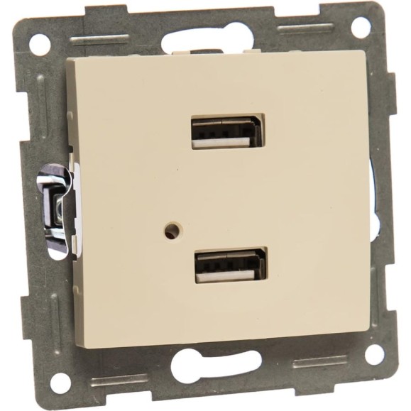Розетка USB GUSI ELECTRIC Bravo двойная, СУ, бежевая С10USB2-003