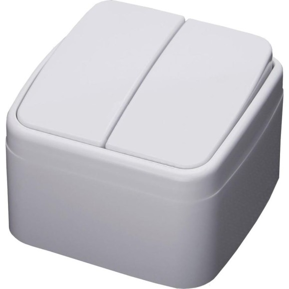 Двухклавишный выключатель STEKKER открытой установки 250В 10А, белый, серия Basic PSW10-42-20 39032