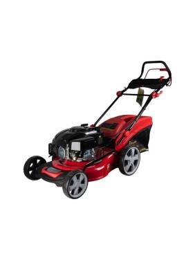 Бензиновая газонокосилка DDE WYZ18H8-WD65-B01