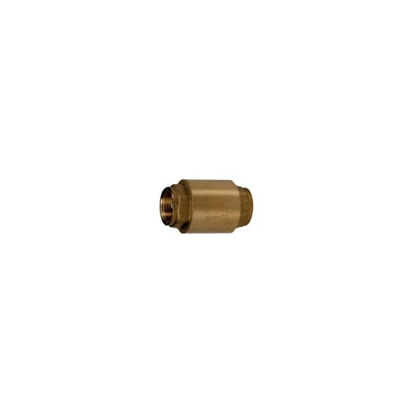 Обратный клапан Giacomini R60, дисковый, 1 1/2, ВВ, PN, бар-10 R60Y007 Обратный клапан Giacomini R60, дисковый, 1 1/2, ВВ, PN, бар-10 R60Y007