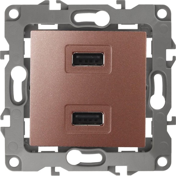 Зарядное устройство USB ЭРА 12-4110-14 230В/5В-2100мА, IP20, 12, медь Б0027499